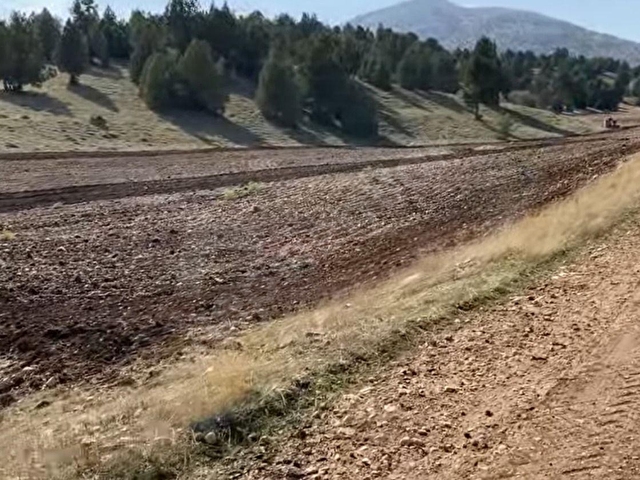ISPARTA YALVAÇDA SATILIK 4.5 DÖNÜM TARLA - Görsel 7