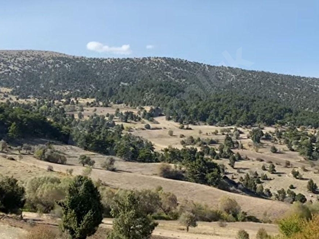 ISPARTA YALVAÇDA SATILIK 4.5 DÖNÜM TARLA - Görsel 11