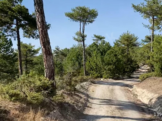 ISPARTA YALVAÇDA SATILIK 4.5 DÖNÜM TARLA - Görsel 13