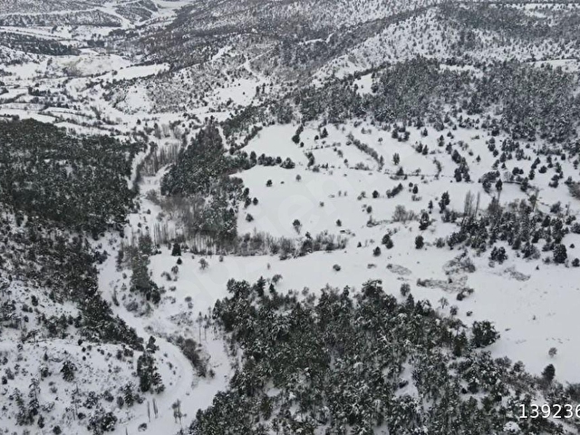 ISPARTA YALVAÇDA SATILIK 4.5 DÖNÜM TARLA - Görsel 10
