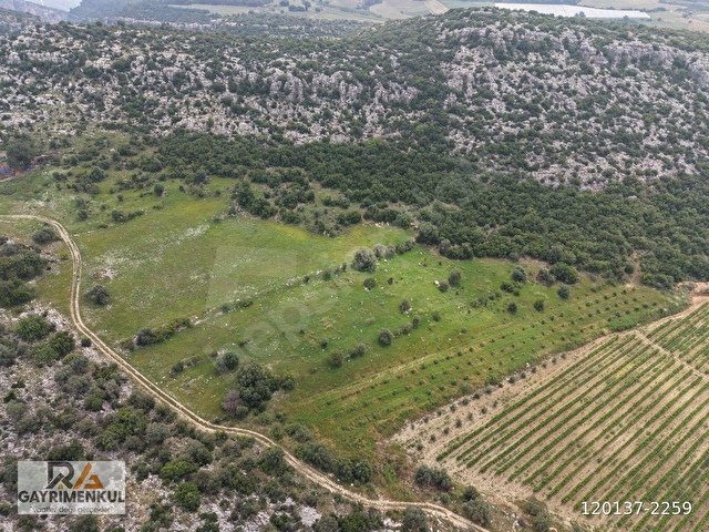 RA GAYRMENKUL ULAŞ MH ÇOK AMAÇLI KULLANIMA UYGUN 10550m SATILIK TARLA - Görsel 9