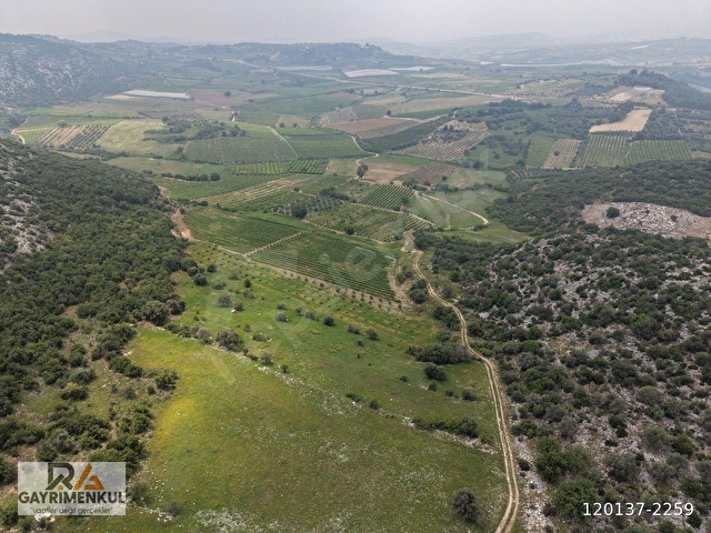 RA GAYRMENKUL ULAŞ MH ÇOK AMAÇLI KULLANIMA UYGUN 10550m SATILIK TARLA - Görsel 11
