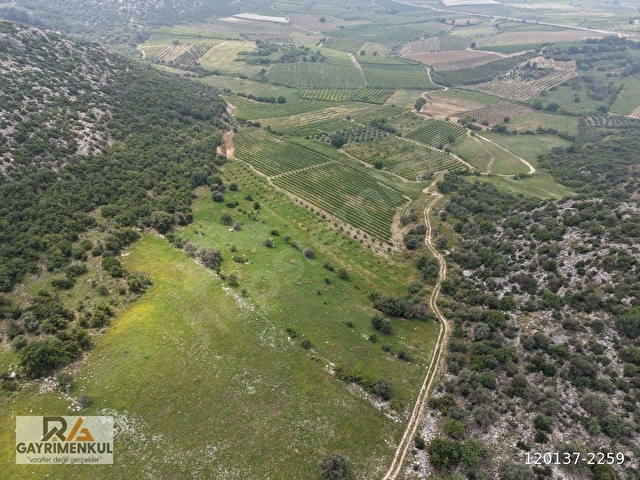 RA GAYRMENKUL ULAŞ MH ÇOK AMAÇLI KULLANIMA UYGUN 10550m SATILIK TARLA - Görsel 12
