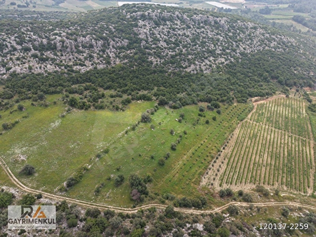 RA GAYRMENKUL ULAŞ MH ÇOK AMAÇLI KULLANIMA UYGUN 10550m SATILIK TARLA - Görsel 19