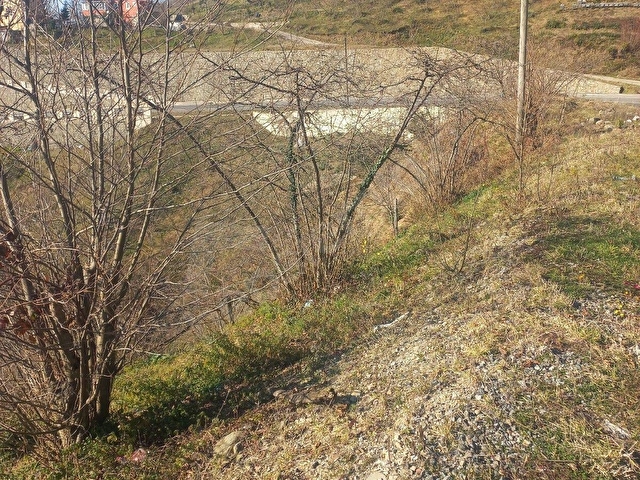 TIREBOLU SATILIK  FINDIK BAHCESI ANA YOL UZERINDE MANZARALI.anayola 80 m cepheli guce yol uzeri - Görsel 4
