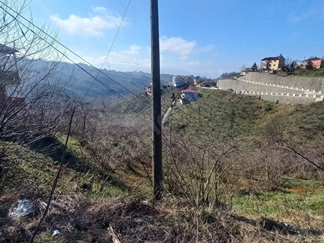 TIREBOLU SATILIK  FINDIK BAHCESI ANA YOL UZERINDE MANZARALI.anayola 80 m cepheli guce yol uzeri - Görsel 10