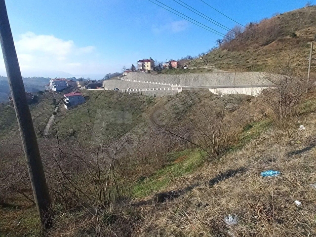 TIREBOLU SATILIK  FINDIK BAHCESI ANA YOL UZERINDE MANZARALI.anayola 80 m cepheli guce yol uzeri - Görsel 11