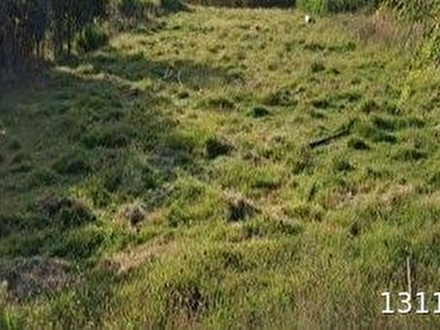 UYGUN DAN 19 MAYIS DEREKÖY MERKEZİNDE KELEPİR ARSA ANA YOLA 200 METRE DENİZE YÜRÜME MESAFESİNDE - Görsel 9
