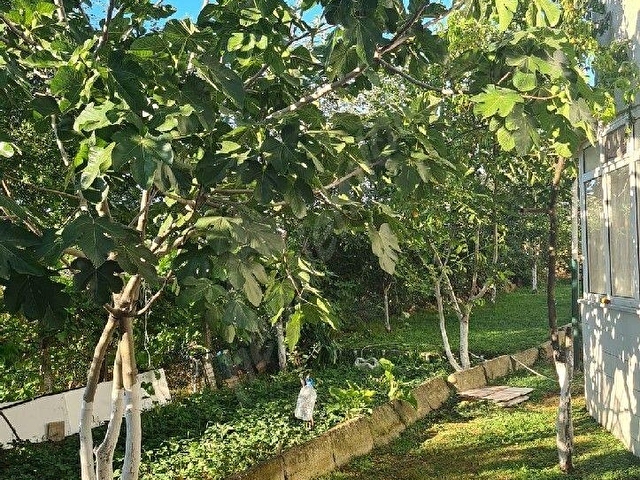 MARMARA EREĞLİSİ, SİTE İÇİ, DENİZ, FIRSAT, TRİPLEX YAZLIK VİLLA - Görsel 27