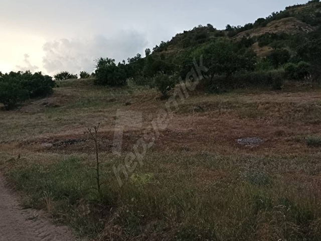 Acil  acill...Demirci azizbeyde muhteşem tarla - Görsel 4