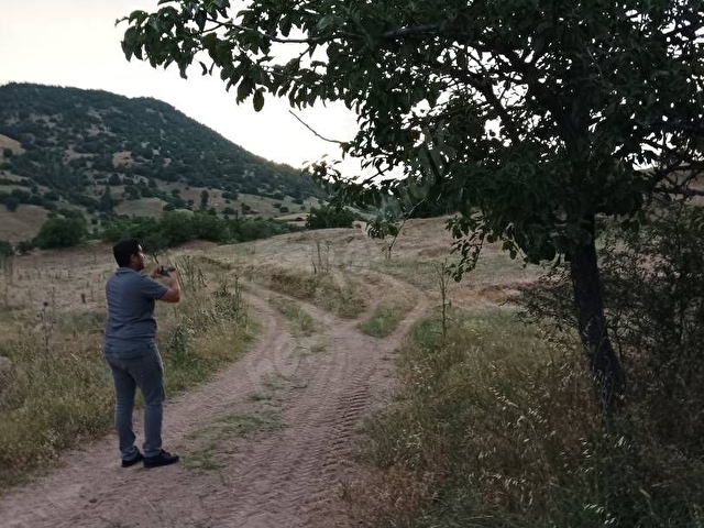 Acil  acill...Demirci azizbeyde muhteşem tarla - Görsel 6