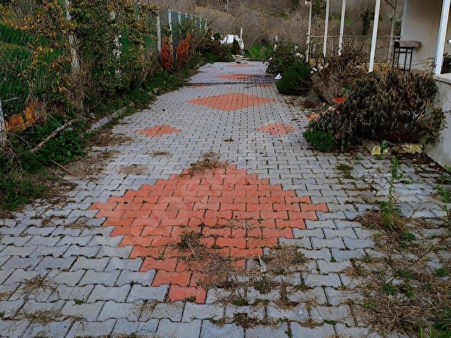 AKÇAKOCA DADALIDA 1100m2 ARSA İÇİNDE SATILIK MÜSTAKİL EV - Görsel 8