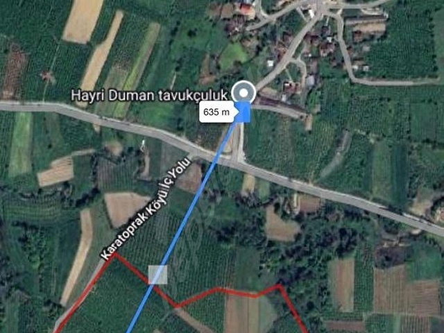 SAKARYA HENDEK 5.519m2 RUHSATI HAZIR 250m2 AHIR 75m2 EV - Görsel 8