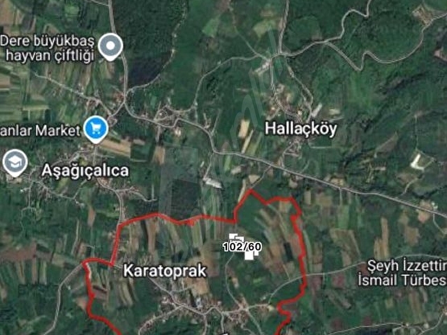 SAKARYA HENDEK 5.519m2 RUHSATI HAZIR 250m2 AHIR 75m2 EV - Görsel 6