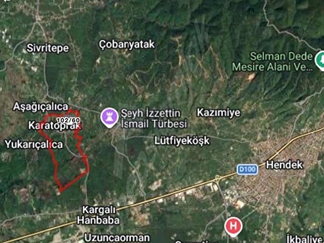 SAKARYA HENDEK 5.519m2 RUHSATI HAZIR 250m2 AHIR 75m2 EV - Görsel 5