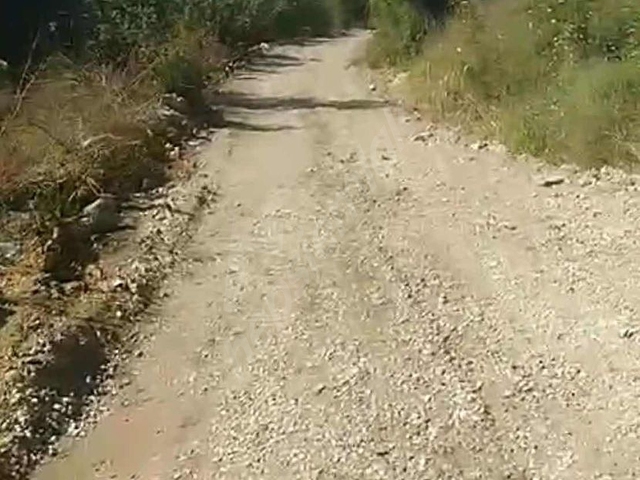 SAKARYA HENDEK 5.519m2 RUHSATI HAZIR 250m2 AHIR 75m2 EV - Görsel 2