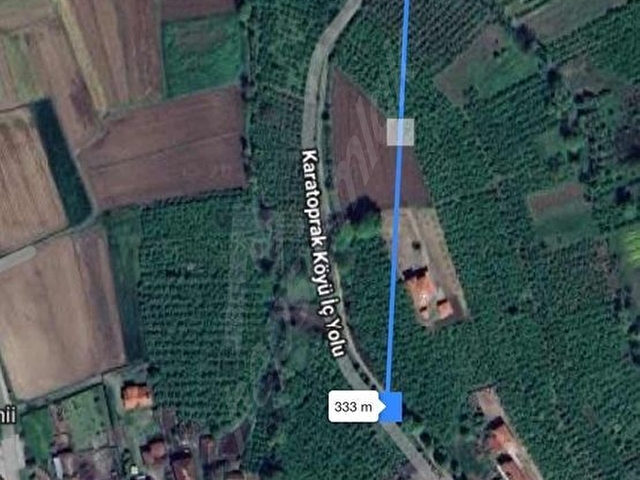 SAKARYA HENDEK 5.519m2 RUHSATI HAZIR 250m2 AHIR 75m2 EV - Görsel 9