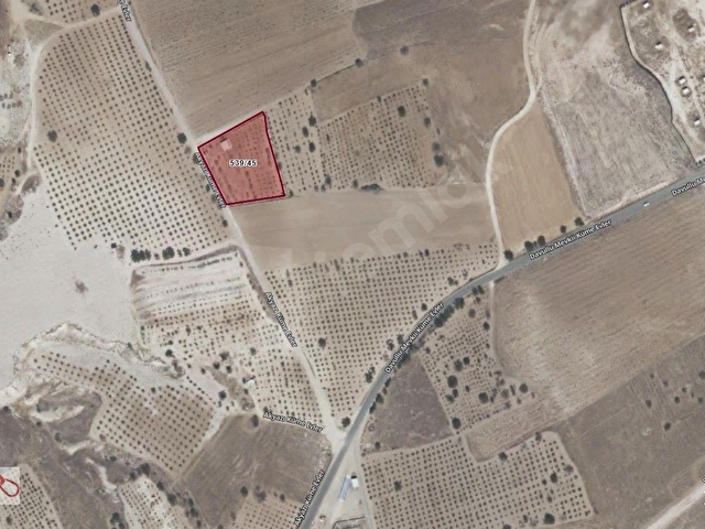 SEYİTOĞULLARI TOHUMCULUĞUN ARKASINDA 2706 M2 SATILIK ARAZİ - Görsel 6