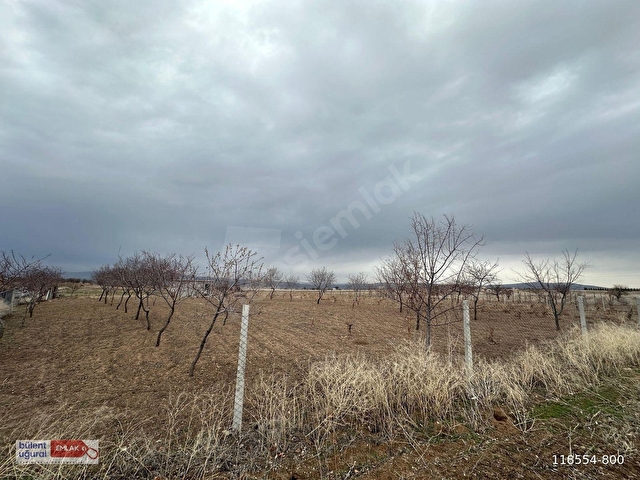 SEYİTOĞULLARI TOHUMCULUĞUN ARKASINDA 2706 M2 SATILIK ARAZİ - Görsel 23