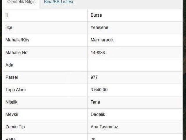 BURSA YENİŞEHİR 242 m² YATIRIMLIK TARLA
