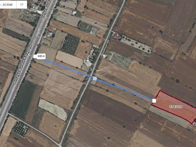 Bucak Karapınarda Antalya Karayoluna yakın 8781 m2 Satılık Tarla