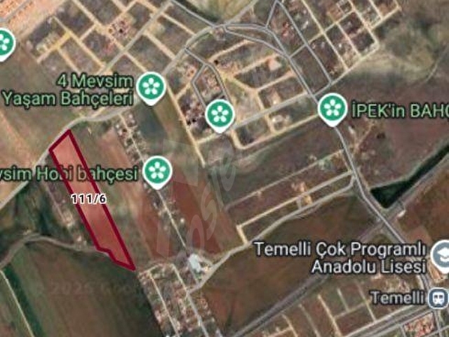 TEMELLİ GAZİ 1/5000 LİK PLANDA İMARA SIFIR 1000M2 HİSSE