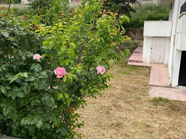 Nallıhan Güven Sitesinde Geniş Bahçeli, Bodrumlu 5+1 Villa - Görsel 19
