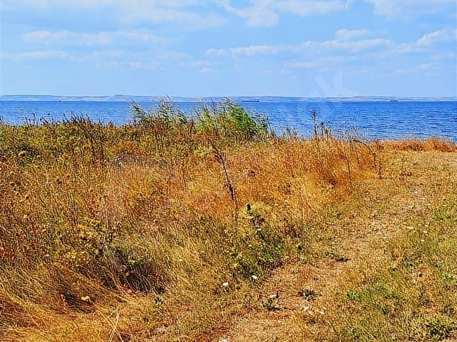 ÇANAKKALE LAPSEKİ ALPAGUTTA DENİZE VE DUBLE YOLA CEPHELI - Görsel 12