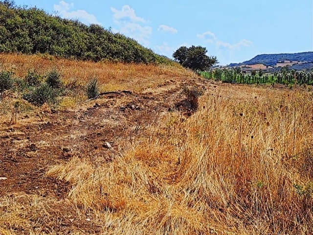 ÇANAKKALE LAPSEKİ ALPAGUTTA DENİZE VE DUBLE YOLA CEPHELI - Görsel 8