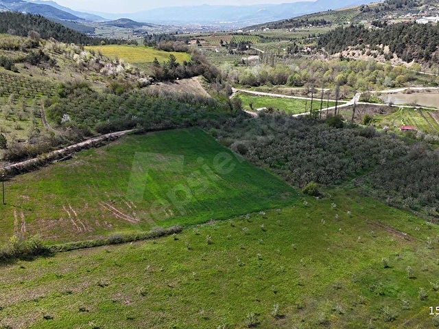 REMAX DESİGN GEYVE BURHANİYE MAHALLESİ 2531 M2 SATILIK TARLA - Görsel 19