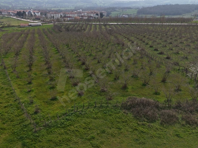 Kandıra Orhan Mahallesinde 237 m² Yatırımlık Arsa - Görsel 15