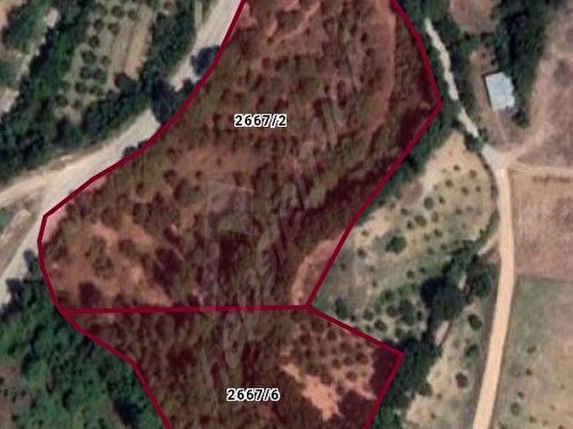 Yörükler Köyünde İmarlı Arazi - Görsel 2