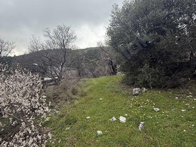 ALANYA ORHANKÖY MAHALLESİNDE 314m2 YOLA SIFIR SATILIK TARLA - Görsel 2