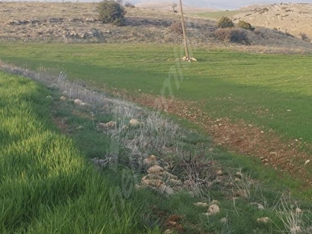 Isparta yalvaç akçasar 39650m2 - Görsel 12