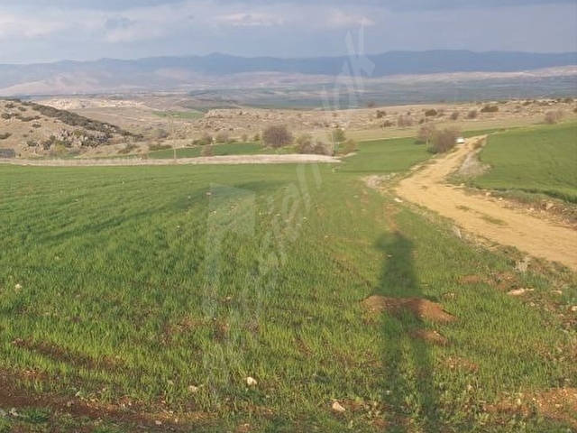 Isparta yalvaç akçasar 39650m2 - Görsel 11