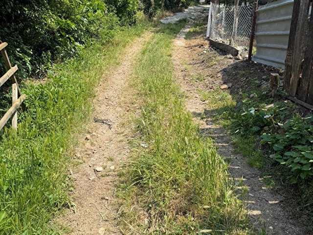 FAKILLI KÖYÜNDE 12.441 M2 YERLEŞİM İÇİNDE SATILIK FINDIK BAHÇESİ - Görsel 2