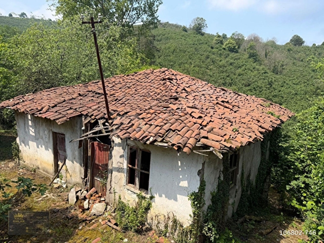 FAKILLI KÖYÜNDE 12.441 M2 YERLEŞİM İÇİNDE SATILIK FINDIK BAHÇESİ - Görsel 20