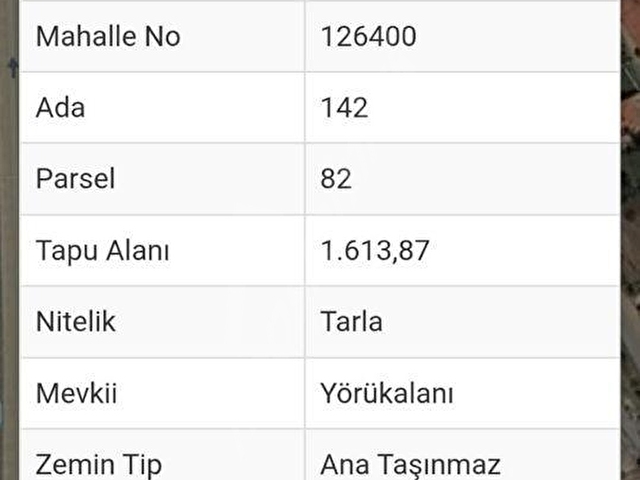 PRESTİJDEN LALE KÖYÜNDE DUBLEKS BAHÇE EVİ  1600 m2 - Görsel 23
