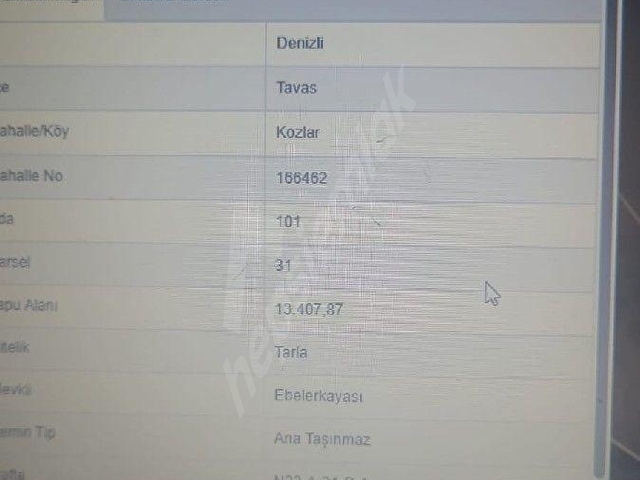 DENİZLİ TAVAS KOZLAR MAHALLESİNDE SATİLİK TARLA