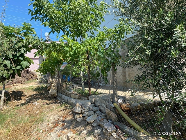 ULAŞ KÖYÜNDE DOĞA MANZARALI MÜSTAKİL EV - Görsel 19