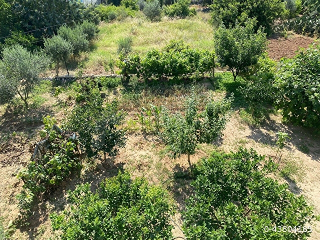 ULAŞ KÖYÜNDE DOĞA MANZARALI MÜSTAKİL EV - Görsel 22