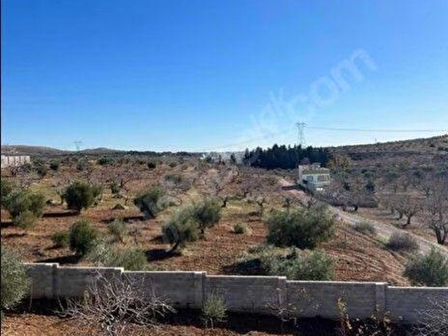 🌿 Nizip Turlu Köyü’nde Satılık Bağ Evi ve Bahçe – Havuzlu, Yatırımlık Fırsat 🌿 - Görsel 5
