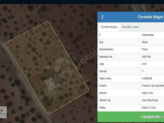 🌿 Nizip Turlu Köyü’nde Satılık Bağ Evi ve Bahçe – Havuzlu, Yatırımlık Fırsat 🌿 - Görsel 9