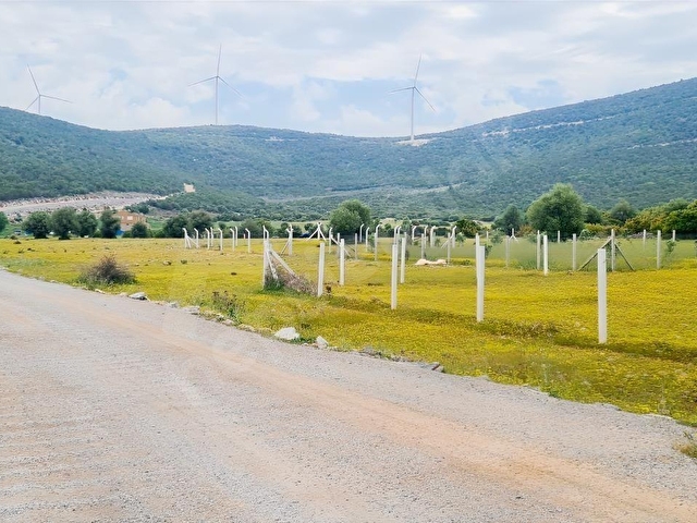 AÇIKLAMAYI OKUYUN DİDİM AKYENİKÖY BALOVA YATIRIMLIK VİLLA ARSASI - Görsel 13