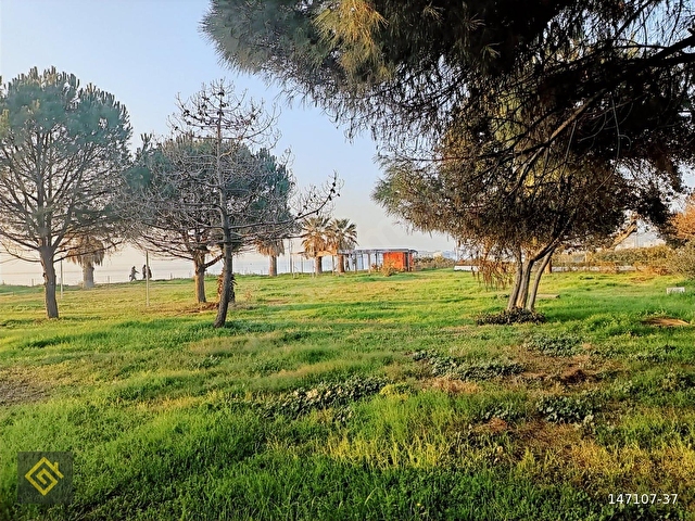 PLAJA 300MT İLK SİTE336 MT. ARSA İÇİNDE TEK MÜSTAKİL DOĞALGAZLI - Görsel 8