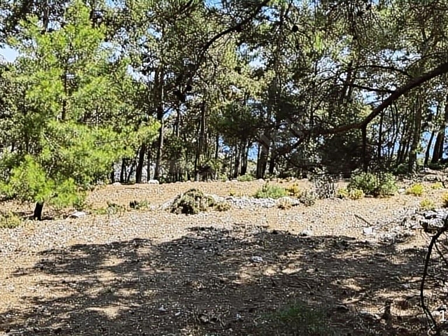 HOME GAYRİMENKUL DEN FIRSAT FETHİYE SEYDİKEMER DE 3797M2 TARLA - Görsel 11