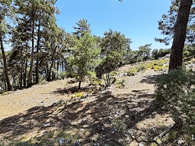 HOME GAYRİMENKUL DEN FIRSAT FETHİYE SEYDİKEMER DE 3797M2 TARLA - Görsel 14