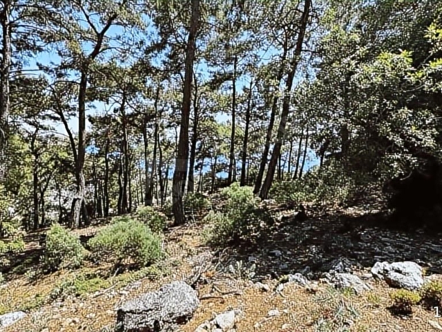 HOME GAYRİMENKUL DEN FIRSAT FETHİYE SEYDİKEMER DE 3797M2 TARLA - Görsel 10