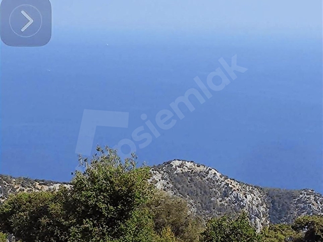 HOME GAYRİMENKUL DEN FIRSAT FETHİYE SEYDİKEMER DE 3797M2 TARLA - Görsel 30
