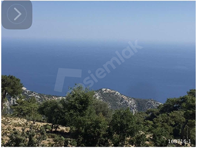 HOME GAYRİMENKUL DEN FIRSAT FETHİYE SEYDİKEMER DE 3797M2 TARLA - Görsel 18